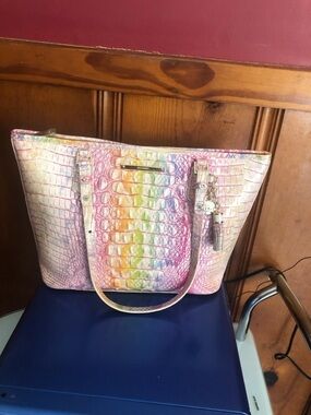 Brahmin optimism medium Asher Tote